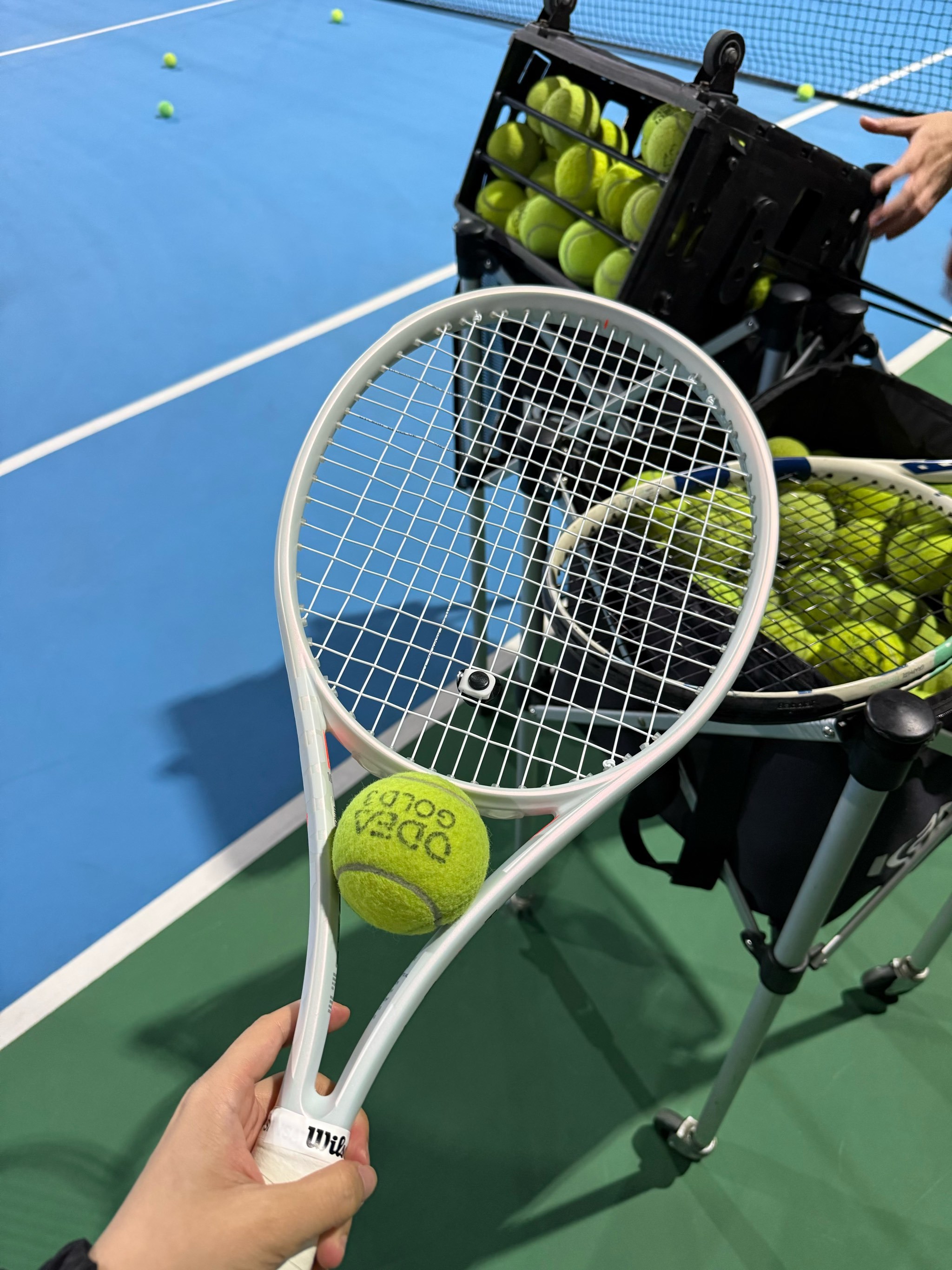 的微缩影 的微缩影